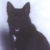 Edith after Winning at Crufts 1998