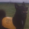 Edith in her demonstration coat