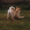 What is gift looking at!